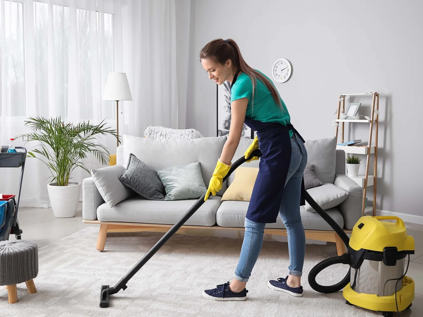 Domestic cleaning
